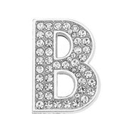 30mm Chrome Color White Diamond Letters Pet Collar – Stylish Gifts — 11