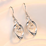 Zircon Reduction Silver Earrings – Stylish Gifts — 1