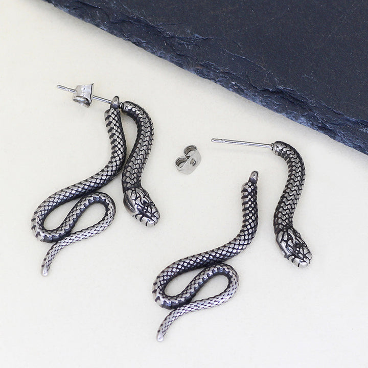 Serpentine Stud Earrings For Men And Women Titanium – Gifts for Her — 1