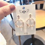 Circle Silver Needle Zircon Pearl Earrings Personality – Stylish Gifts — 5