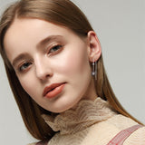 Light Luxury Long Copper Plated Zircon Earrings – Birthday Gifts — 1