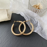 Ring hoop earrings – Small Gift Ideas — 6