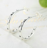 Simple classic zircon s925 silver earrings – Practical Gifts — 5
