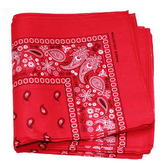 Cashew Flower Paisley Hip Hop Square Scarf – Stylish Gifts — 20