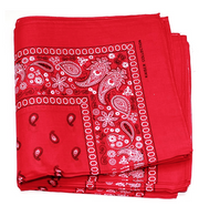 Cashew Flower Paisley Hip Hop Square Scarf – Stylish Gifts — 20