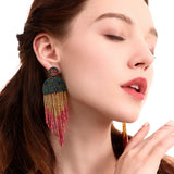 Color Beizhu Earrings – Special Occasion Gifts — 4