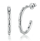 Simple classic zircon s925 silver earrings – Practical Gifts — 1