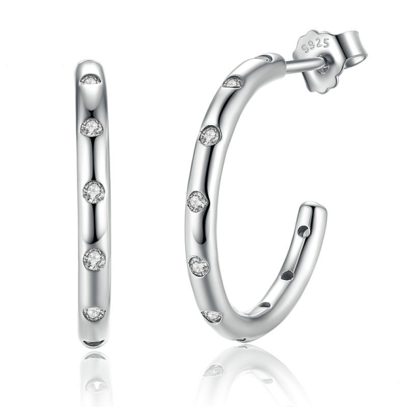 Simple classic zircon s925 silver earrings – Practical Gifts — 1