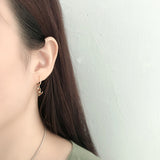 Leafy Spring Ball Dinosaur Earrings – Stylish Gifts — 3
