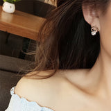 Simple and Compact Titanium Steel Earrings – Gift Ideas — 3