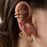 Cross-Border Retro Snake Set Earrings Cold Wind – Stylish Gifts — 1