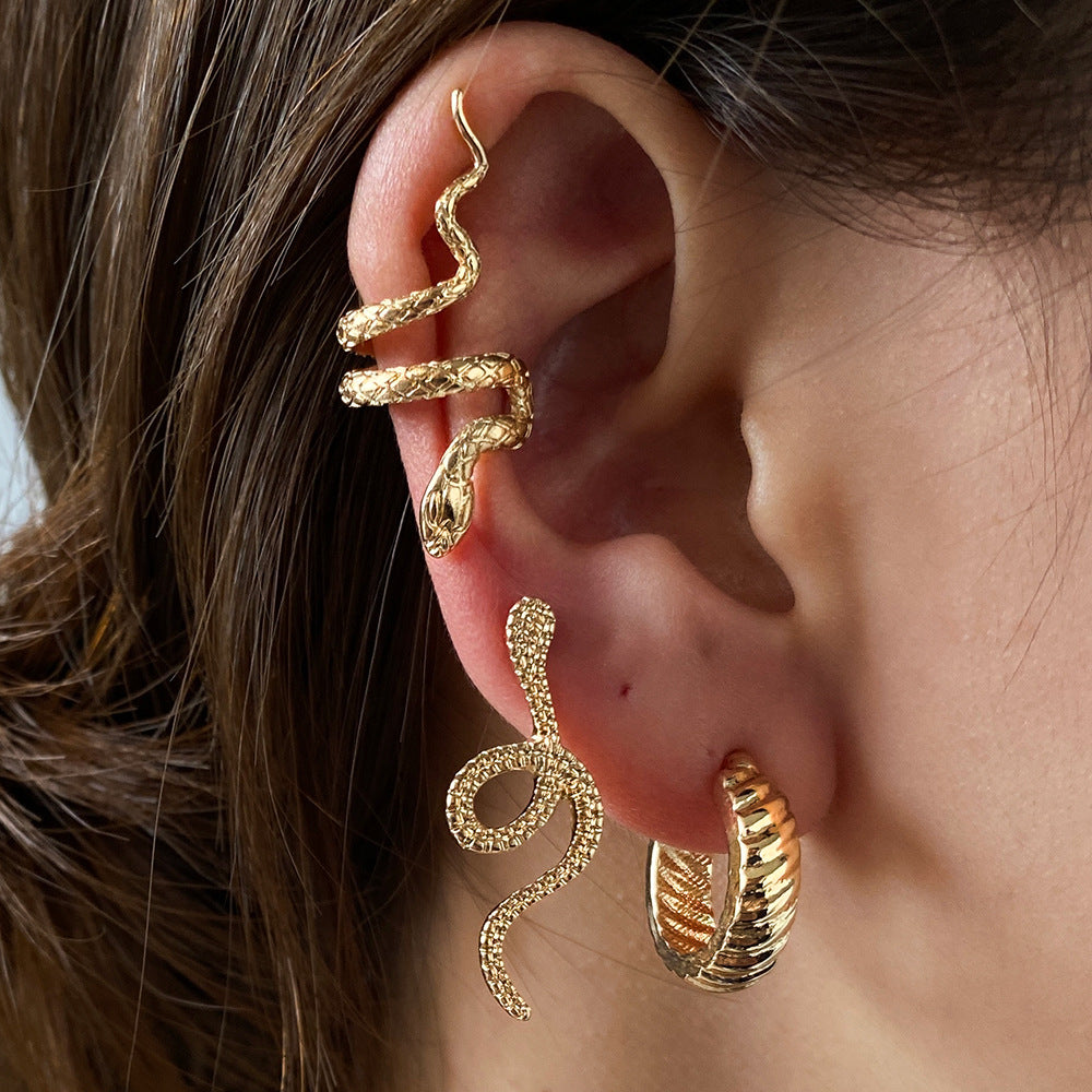Cross-Border Retro Snake Set Earrings Cold Wind – Stylish Gifts — 1