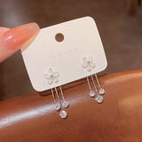 Silver Needle Long Fringed Zircon Earrings – Thoughtful Gifts — 2
