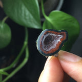 S925 Silver Inlaid Cornucopia Agate Open Mouth – Holiday Gift Ideas — 5