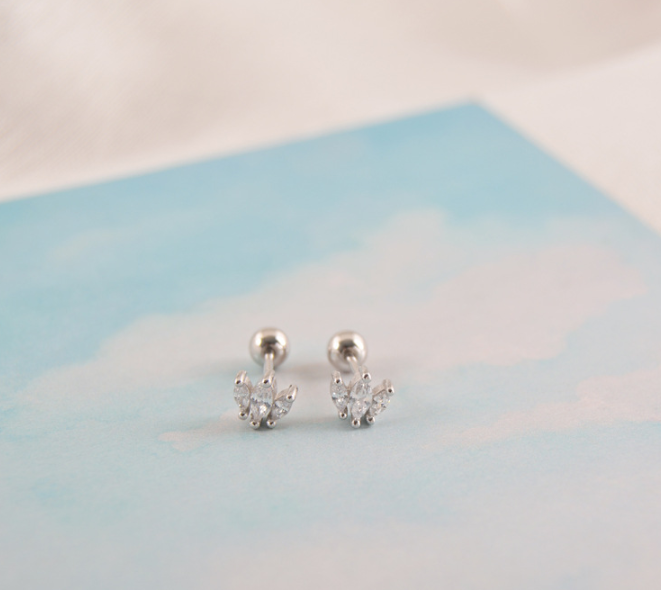 Threaded Crown Zircon Simple Wild Earrings – Surprise Gifts — 1