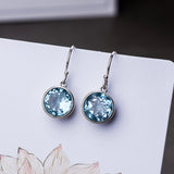 Crystal Square Sea Blue Simple Earrings – Birthday Gifts — 5