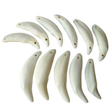 Wolf Tooth Pendant Bleached Necklace Ornament – Jewelry Gift Ideas — 19