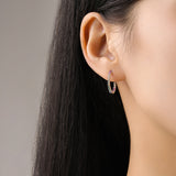 S925 Sterling Silver Color Zircon Earrings – Gift Ideas — 1