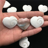 Fashion Creative Simple Natural Sun Shell Pendant – Stylish Gifts — 4