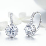 European And American Fashion Platinum-Plated Earrings – Stylish Gifts — 2