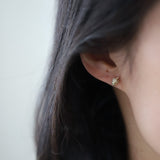 All-body S925 Sterling Silver Gold-plated Earrings – Gifts for Her — 1