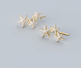 Starfish without pierced earrings – Useful Gifts — 2