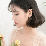 S925 silver earrings – Practical Gifts — 4