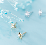 The stars earrings – Holiday Gift Ideas — 4