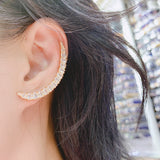 S925 Silver Needle Crescent Zircon Earrings – Birthday Gifts — 2