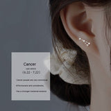S925 Sterling Silver Constellation Stud Earrings – Gifts for Her — 12