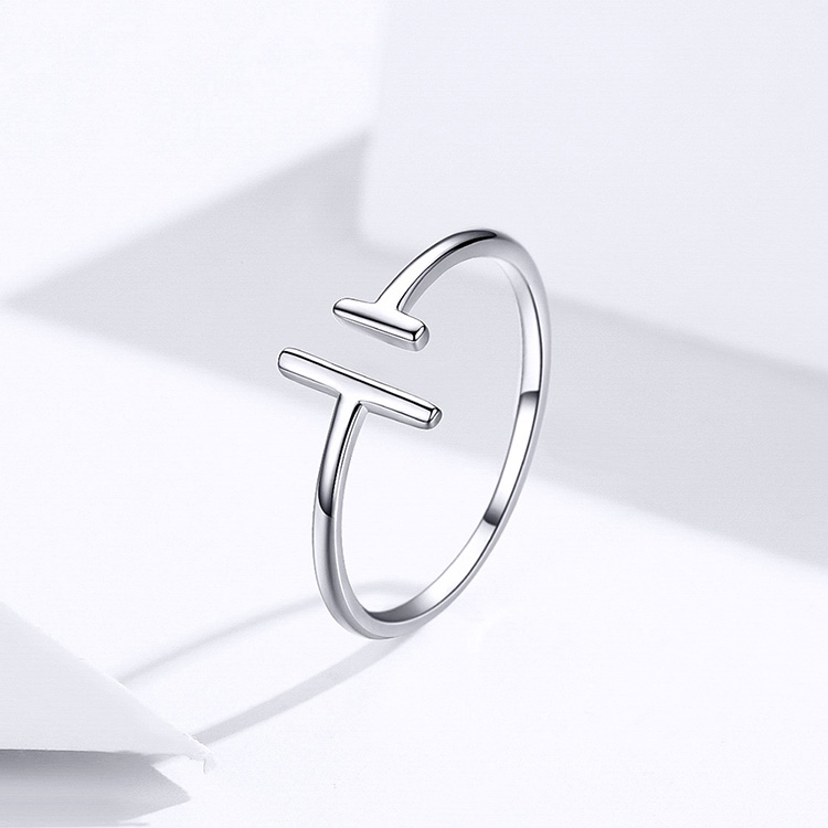 Parallel line ring S925 white gold plated ring – Everyday Gifts — 1