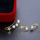 Silver Plated Earrings Fashion Piece – Stylish Gifts — 2