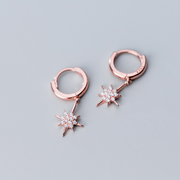 S925 silver earrings – Small Gift Ideas — 5