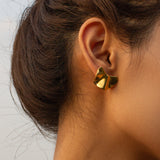 Stainless Steel Titanium Steel Gold Ear Rings – Useful Gifts — 3
