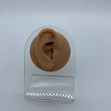 Soft Silicone Simulation Ear Model Studs Earrings – Holiday Gift Ideas — 16