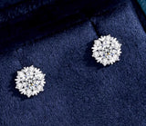 Stud Earrings Women's Sterling Silver Plated 18k – Gifts for Her — 5