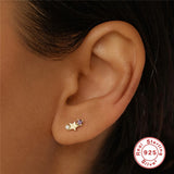 Twelve Constellations Creative Personality Earrings – Practical Gifts — 5