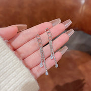 Silver Needle Long Fringed Zircon Earrings – Thoughtful Gifts — 10
