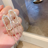 Women's Long Micro-set Zircon Tassel Earrings – Gifts for Her — 5