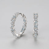 S925 Sterling Silver Irregular Zircon Earrings Women's – Gifts for Her — 1