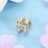 Micro-inlaid zircon ladies earrings – Holiday Gift Ideas — 2