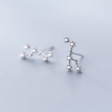 Zodiac earrings – Stylish Gifts — 12