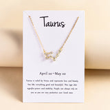 Explosive Diamond Twelve Constellation Necklace – Jewelry Gift Ideas — 15