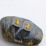 Earrings Frosted Shell Beads Solid Color – Thoughtful Gifts — 5