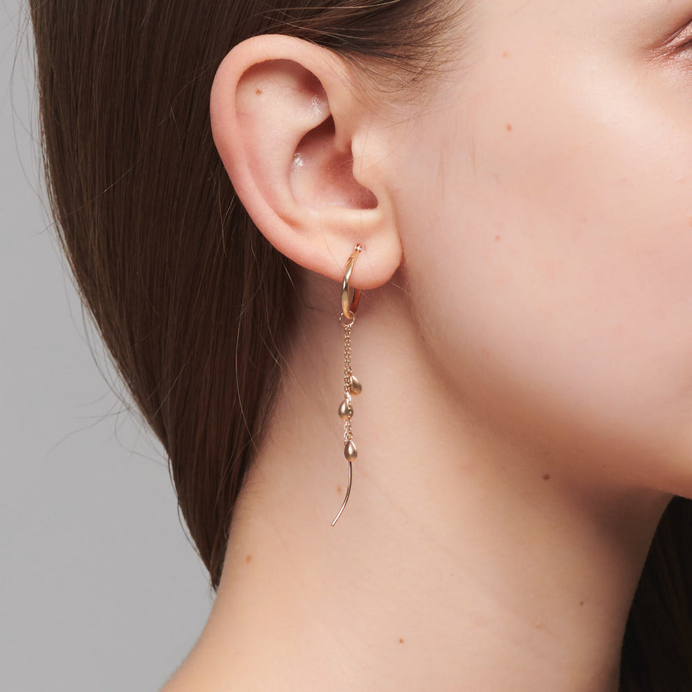 Silver Gilded Fashion Earrings Female – Stylish Gifts — 1