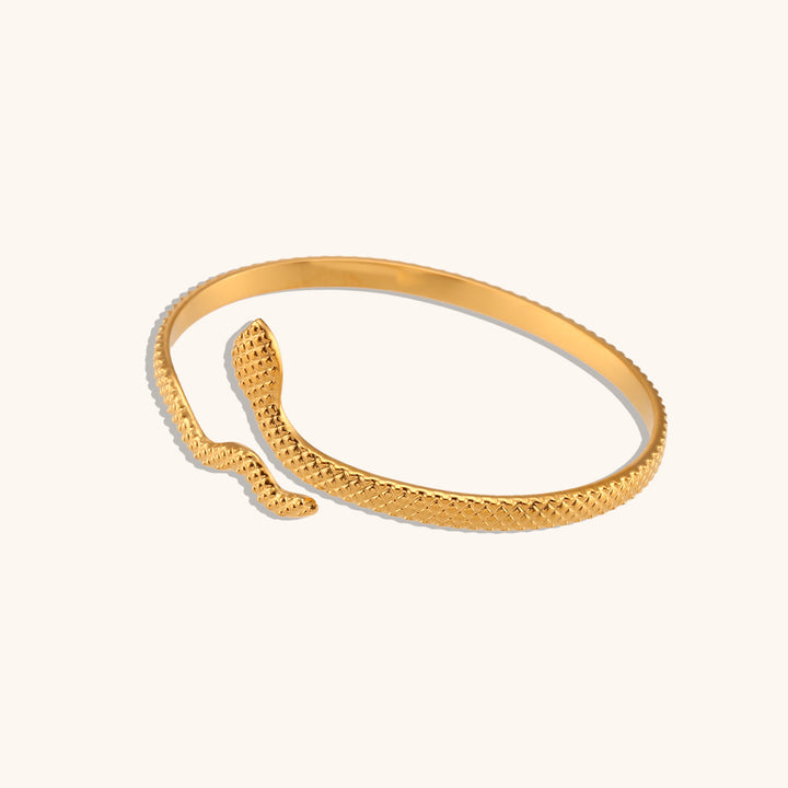 Simple And Personalized Plaid Snake Bracelet – Jewelry Gift Ideas — 1