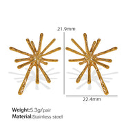 Fireworks Korean Style Niche Designer Stud Earrings – Stylish Gifts — 5
