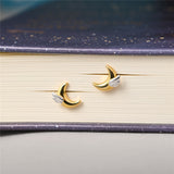 S925 Silver Dreams Come True Moon Wing Stud – Holiday Gift Ideas — 2