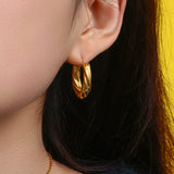 Denisse Twisted Hoop Earrings – Birthday Gifts — 6