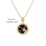 S925 Silver Twelve Constellation Pendant Necklace – Jewelry Gift Ideas — 11